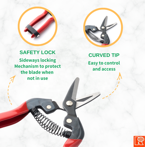 Sécateur floral incurvé Kwang Hsieh pour la taille du raisin et la coupe des fruits - Product Image 4