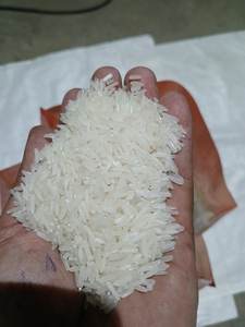 KDM SEN KRO OUB ARROZ DE CAMBOYA 5% ROTO EXPORTACIÓN DE ALTA CALIDAD POR FÁBRICA DE ARROZ DEL SUR DEL MEKONG AL POR MAYOR - Product Image 2