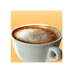 Venta al por Mayor de Café Instantáneo Fenzo de Primera Calidad, Mezcla para Cappuccino con Vainilla, Sabor Suave, Dulce y Cremoso, en Polvo, en Caja, de la India - Product Image 1