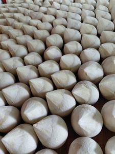 Noix de coco fraîche polie avec le meilleur prix FOB compétitif au Vietnam - Product Image 5