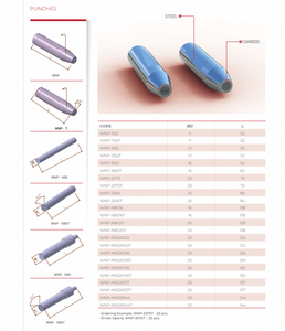Poinçons en carbure et en acier pour le façonnage industriel des métaux, outil de poinçonnage de haute précision pour la fabrication, fournisseur OEM - Product Image 5