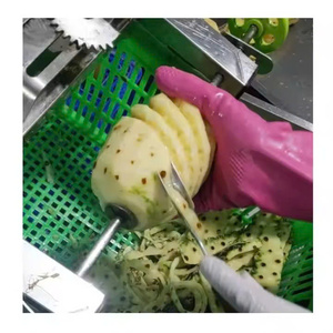 QF IQF Piña congelada Dados Rebanada Corte Venta al por mayor Embalaje a granel Vietnam Piña Fruta - Product Image 2