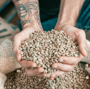 Grains de café Arabica vert de qualité supérieure, provenance Royaume-Uni, en vente - Product Image 3