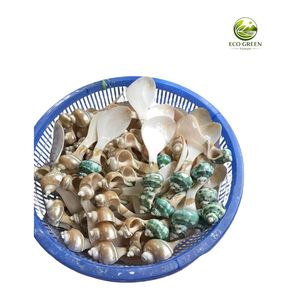 Cuchara Artesanal de Concha de Nácar Natural, Ecológica, con Mango Corto, para Café y Postre, Mango de Resina de Lujo, Venta al por Mayor - Product Image 1