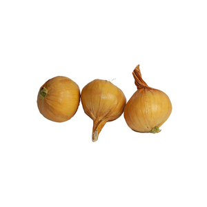 Yellow onion fresh onions newest crop in bulk high quality professional export fresh onion wholesale - Product Image 4
