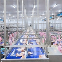 Distributeur automatique d'abattoir,, maison d'abattoir à poulet, équipement d'abattoir