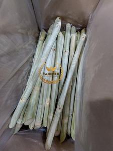 {HOT - SALE} - อ้อยน้ําตาล/อ้อยปอกเปลือกแช่แข็ง/การจัดหาสินค้าส่งออกจํานวนมากคุณภาพสูงจากเวียดนาม - Product Image 3