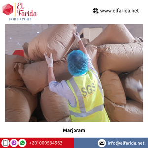 Exportador de hierbas y especias individuales de hojas de mejorana secas trituradas de la mejor calidad Compra al por mayor Tipo de procesamiento crudo - Product Image 3