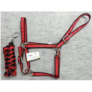 Vente en gros de licou pour cheval en nylon équestre Quincaillerie en métal et fer de haute qualité avec ensemble combiné de laisse pour cheval personnalisé OEM/ODM - Product Image 2