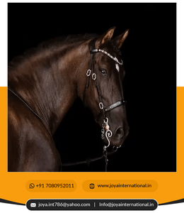 Bride pour cheval Vente à chaud Corde de cheval réglable Halter Durable Equestrian Riding Wear Bridle saisonnier - Product Image 4