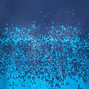 เสื้อรัดรูปแขนยาวสำหรับผู้ชาย แห้งเร็ว ป้องกันรังสียูวี เหมาะสำหรับ MMA BJJ และการฝึกซ้อมในยิม - Product Image 6