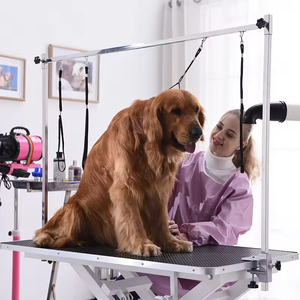 <span class=keywords><strong>Mesa</strong></span> de peluquería eléctrica para mascotas, <span class=keywords><strong>mesa</strong></span> de peluquería para perros con luz LED, <span class=keywords><strong>mesa</strong></span> de aseo veterinario - Product Image 5
