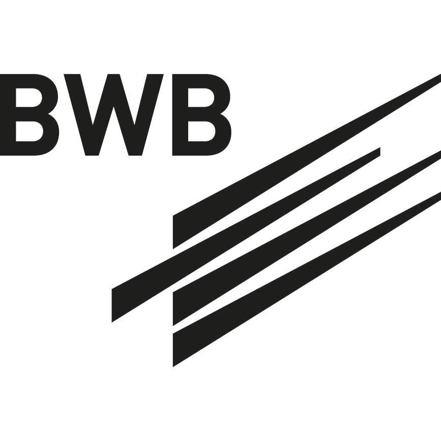 Nehlsen-BWB Flugzeug-Galvanik Dresden GmbH & Co. KG logo