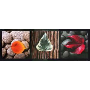 Impresión de arte moderno: Hojas coloridas sobre papel - Product Image 1