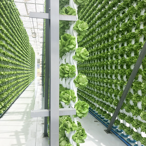 Systèmes d'hydroponie avancés avec tour aéroponique pour l'agriculture verticale, croissance plus rapide des plantes, faible consommation d'eau - Product Image 2