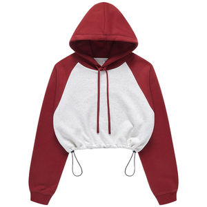 Lourd 100% coton hiver Couple Hip Hoodies ensemble en gros broderie unisexe coupe régulière à capuche et pantalon de survêtement ensemble - Product Image 1