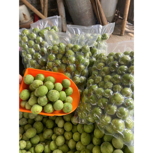 Dracontomelon congelé Origine du Vietnam IQF Fruits aigres Vente en gros Exportation en vrac - Product Image 6