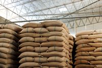 Les grains de café vert de qualité supérieure sont la clé d'une merveilleuse détente provenant des hautes terres vietnamiennes