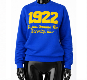 Sweat-shirts à capuche en molleton de coton avec patchs en chenille pour femmes, vente en gros, sororité Sigma Gamma Rho 1922, streetwear, hiver/automne - Product Image 1