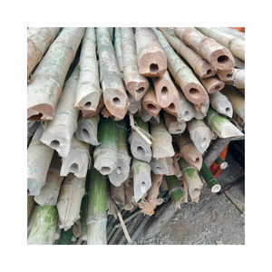 Poteaux de bambou solides et droits Poteau de bambou brut de nature traitée avec des prix compétitifs Vente en gros en vrac du Vietnam 99GD - Product Image 5