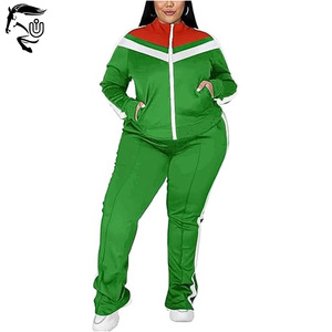 Haute Qualité Personnalisé OEM Imprimé Hiver Solide Regular Fit Jogging Sweatsuit-2 Pièces Ensembles Polaire Éponge Grande Taille Femmes - Product Image 2