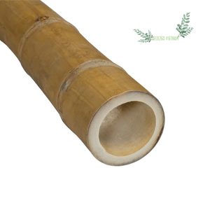 เสาไม้ไผ่ดิบเสาไม้ไผ่สีเหลืองเสาไม้ไผ่ขนาดใหญ่ผลิตในเวียดนาม - Product Image 1