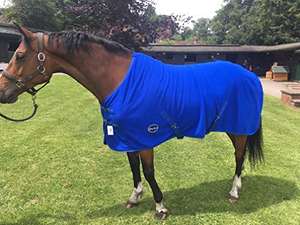 Alfombra de caballo ecuestre de alta calidad del fabricante para carreras, cubiertas de invierno y verano, opciones de relleno de algodón polar de tela - Product Image 4