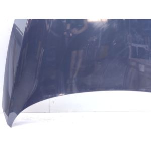 CAPÓ DELANTERO DEL MOTOR KIA Sportage Serie 664003W000 (10>16) - Product Image 4