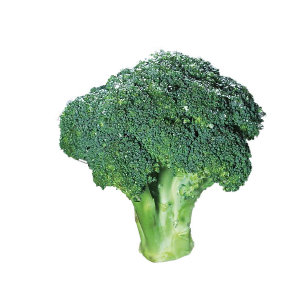 Fornire Broccoli vegetali IQF congelati di buona qualità vendita calda nuovi prodotti disponibili per il mercato internazionale