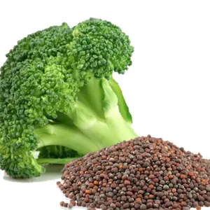 Broccoli Seeds