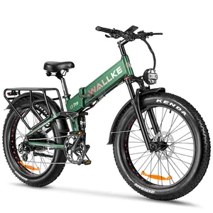 Hergestellt in china die beste deeppower 750 watt 1000 watt elektrische trail speed bikes zum verkauf import