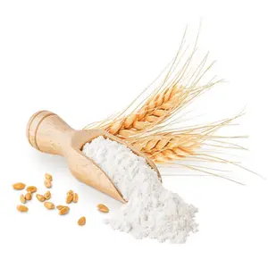 High Quality Cheap Cooking Wheat Flour 25kg Available For Sale At Low Price