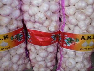 Ajo Fresco Blanco Puro de Primera Calidad, Excelente Ajo - Product Image 2