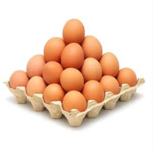 Nouveaux œufs de poule frais, œufs d'élevage, œufs de table de qualité supérieure, coquille blanche et coquille brune - Product Image 5