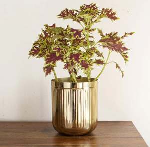 แจกันดอกไม้โลหะสีเงินโบราณสำหรับตกแต่งบ้านตกแต่งโต๊ะตกแต่งบ้านโรงแรมจำนวนมากทำจากอินเดียขายดี - Product Image 5