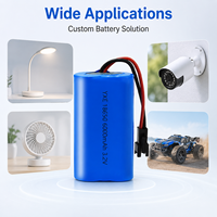 Paket Baterai LiFePO4 18650 3.2V 6000mAh Kustom, Pasokan Pabrik OEM dengan Kabel Harness dan Konektor