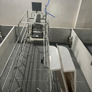 อุปกรณ์การเลี้ยงหมูโรงนาหมูสแตนเลสในเวียดนาม - Product Image 5