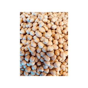 Vente en gros de pois chiches biologiques en vrac naturels sains et de bonne qualité sans OGM de haute qualité pois chiches Kabuli crus séchés - Product Image 6