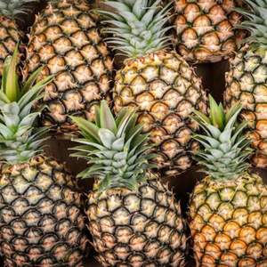 Compre Piñas Frescas de Primera Calidad para Hacer Jugos, Piña Natural con Entrega Rápida para Smoothies y Bebidas Saludables - Product Image 6