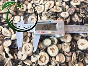 ส่งออกร้อนเวียดนามส้มหนุ่มแห้งจํานวนมากด้วยราคาที่แข่งขันได้ - Product Image 4