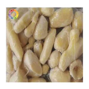 Jengibre Congelado Surtido IQF, Jengibre Entero Pelado Congelado, Rodajas de Jengibre Congelado y Jengibre en Cubos para la Industria Alimentaria - Product Image 1