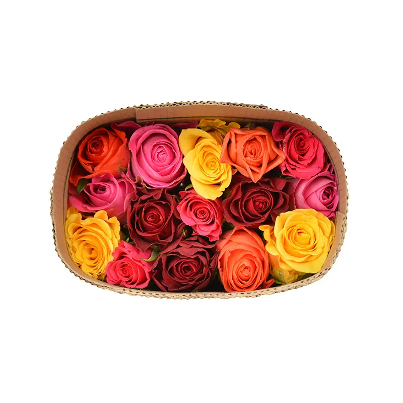 Flores de corte fresco de Kenia superventas, ramo de flores rosas, Arlequín, arcoíris, colores mezclados, venta al por menor, venta al por mayor, rosas, flores de boda