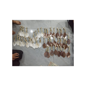 Cuillère à caviar en nacre exquise cuillère à coquille artisanale pour les repas gastronomiques, ustensile non métallique assurant inaltéré - Product Image 2