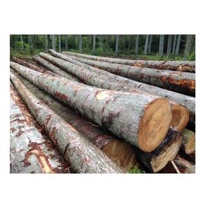 Bûches rondes en bois d'épicéa pour la fabrication de meubles-Qualité supérieure, prix compétitif - Product Image 1