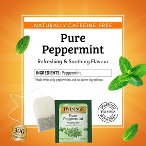 Té de Hierbas de Menta Pura Twinings en Bolsitas Individuales, 25 Unidades (Paquete de 6) 150 Bolsitas de Té - Product Image 2