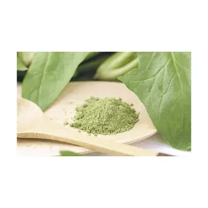100% Pure Natural Vegetable Powder Bulk Spinach Extract Powder