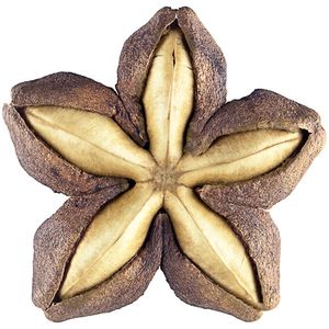 Nueces de Sachi Inchi Naturales de Vietnam, Proveedor de Alta Calidad con Precio Competitivo 2022 - Sra. Kathy VDelta - Product Image 1