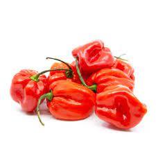 Proveedor Mayorista de Pimiento Amarillo Habanero Picante Fresco, Calidad Premium, 25 kg, 99% Maduro, Tamaño 2 cm, Origen UE, 18 Meses de Duración - Product Image 4