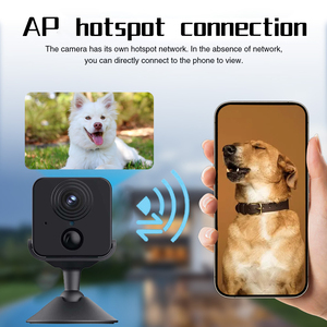 1080P KI-Bewegungserkennung Hunde Katzen Tauben Kamera PIR-Sensor Nachtsicht TF-Kartenspeicher Umweltfreundlich Leichtgewichtig Haustier-Smart-Kamera - Product Image 5