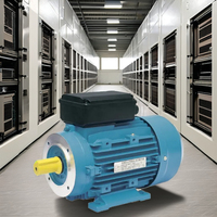 Moteur à induction monophasé à haut rendement 230V 50/60Hz entièrement fermé en aluminium IE1 0,5kW 1500/3000 tr/min Montage au pied